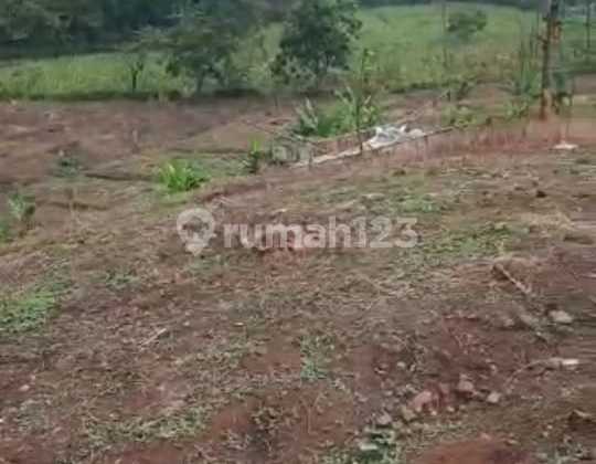 Dijual Tanah Agrowisata Kendal 2