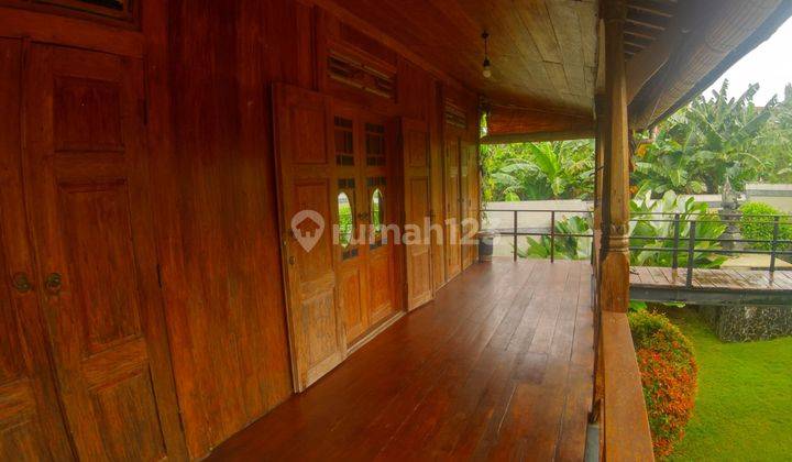 Full Furnished, Villa Asri Dan Nyaman Di Dekat Canggu  1