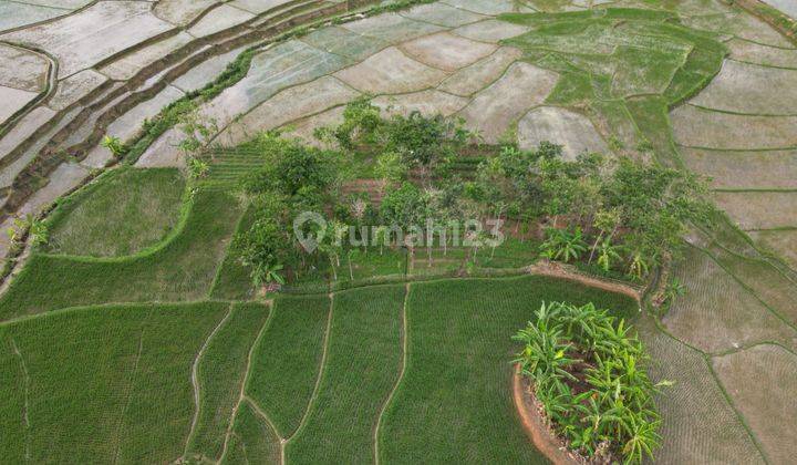 Dijual Tanah di Desa Singasari, Kec Jonggol, Kab Bogor 1