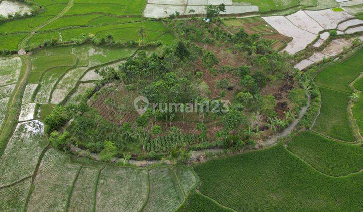 Dijual Tanah di Desa Singasari, Kec Jonggol, Kab Bogor 2