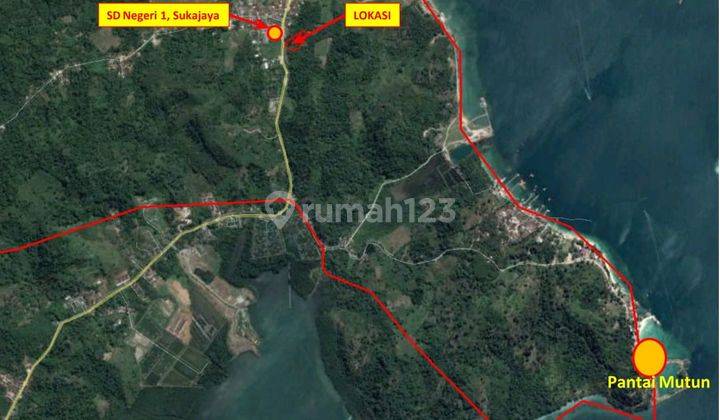 Tanah di Desa Sukajaya, Kabupaten Pesawaran Lampung Selatan 1