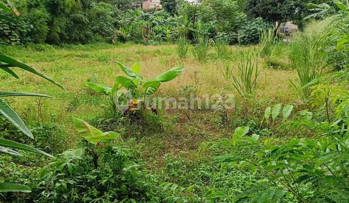 Termurah, Tanah Kavling Siap Bangun di Cipayung Jakarta Timur
