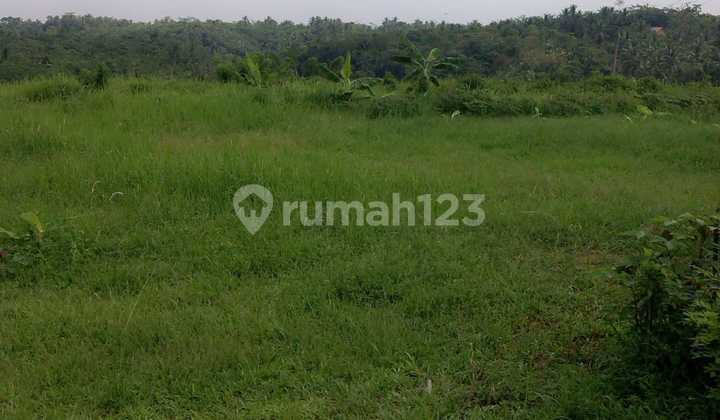 Dijual Tanah Siap Pakai Bisa Dibangun Villa/resort/hotel/kantor/taman Wisata Dll Di Pandeglang Banten