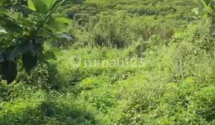 Land Plot For Sale In Sentul Bogor