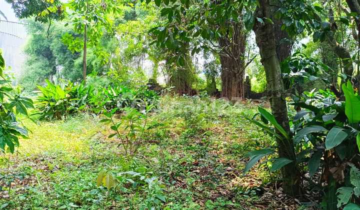 Bisa Untuk Cluster, Tanah 3000 M Di Bedahan Sawangan Depok