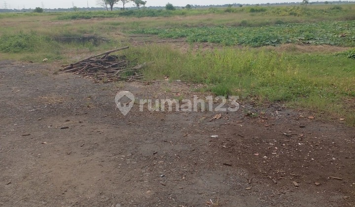 Dijual Tanah Siap Bangun Di Bekasi 