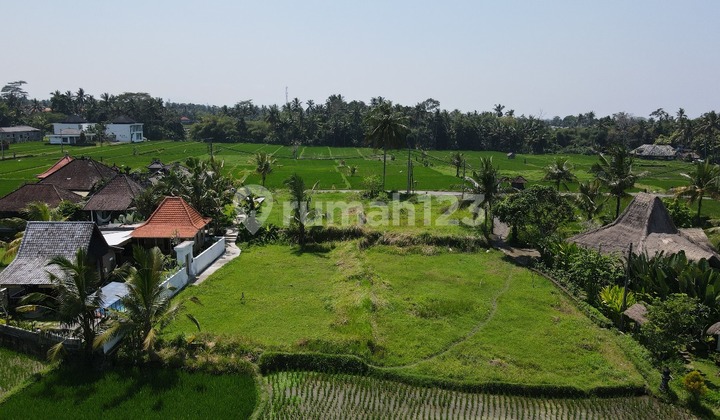 Termurah, Tanah Kavling di Ubud Bali