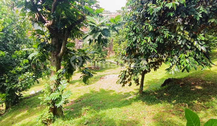Land for Sale Ready to Build, Ideal Location for Outdoor Cafe Hidden Gem in Jagakarsa, South Jakarta Land for Sale Ready to Build, Ideal Location for Outdoor Cafe Hidden Gem in Jagakarsa, South Jakarta