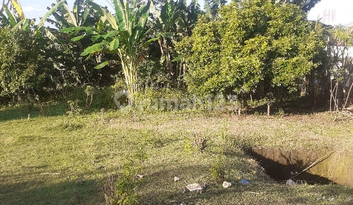 Tanah Datar Siap Bangun Cocok Untuk Dibangun Villa Atau Kos-Kosan Di Kutuh Tanah Datar Siap Bangun Cocok Untuk Dibangun Villa Atau Kos-Kosan Di Kutuh