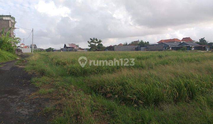 Tanah Murah Cocok Untuk Dibangun Villa Atau Guest House Di Kerobokan  2