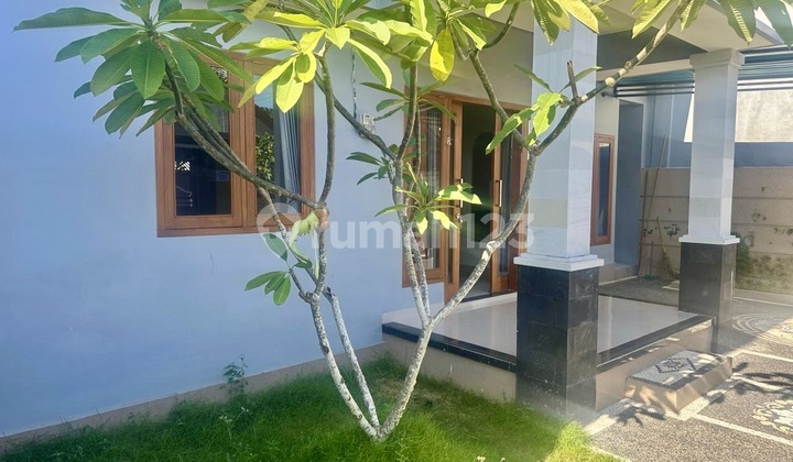 Rumah Semi Villa Siap Huni 5 Menit Ke KLub Jimbaran  2