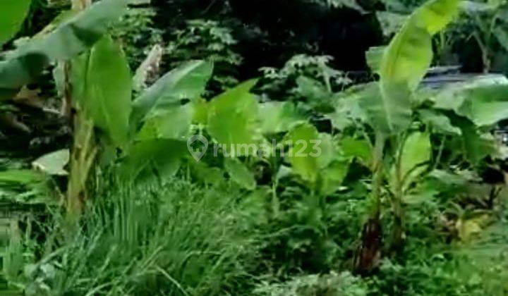 Tanah Kosong Di Jalan Cemara, Jakamulya, Bekasi Selatan 4
