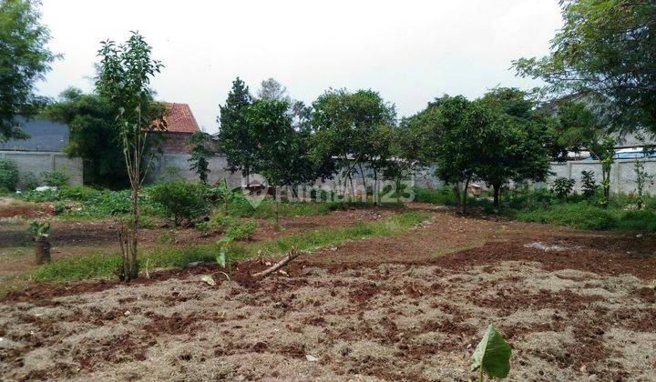 Rumah Tanah Luas, Hitung Tanah, Pondok Labu, Jakarta Selatan 2