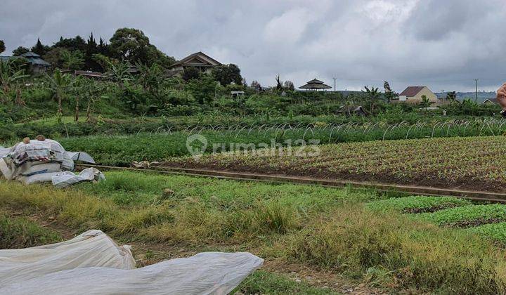 Tanah Sangat Luas, Cipanas, Cianjur, Jawa Barat 1