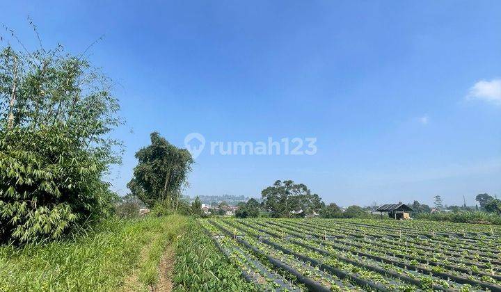 Jual Kavling Matang Cocok Untuk Dibangun Usaha di Mainroad Lembang 2