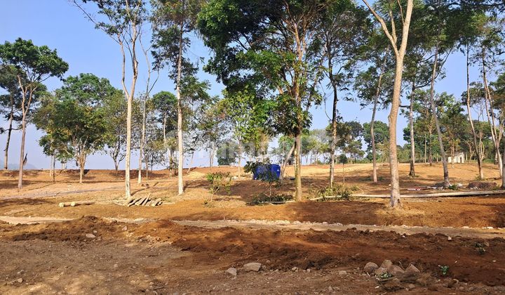 Quick Sale Land in Bogor at a Low Price