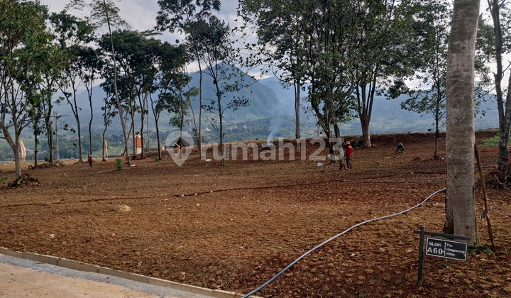 Dijual Tanah Luas 1000 Meter Shm Lokasi Bogor Dijual Tanah Luas 1000 Meter Shm Lokasi Bogor