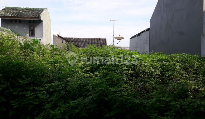 Land for Sale by the Roadside, Great for Investment, Located in Ngalian Area, Semarang 1