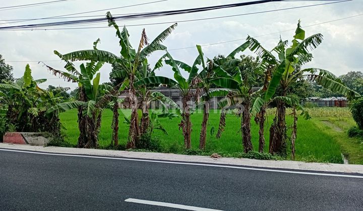 Green Zone Land Strategic Location on the Main Road Good for Investment