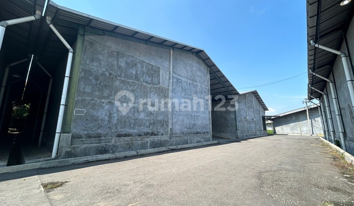 Warehouse/ Ready-to-use Warehouse with Office Facilities, Meeting Room Warehouse/ Ready-to-use Warehouse with Office Facilities, Meeting Room