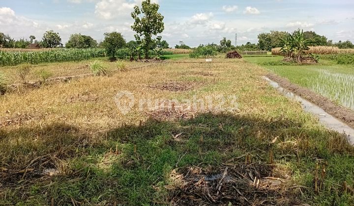 Tanah Dijual di Ngawen Dekat Rsi Klaten Bagus untuk Investasi