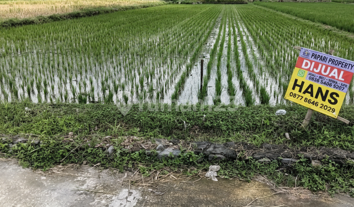 Tanah Kavling Zona Hijau Sangat Menguntungkan untuk Usaha atau Investasi