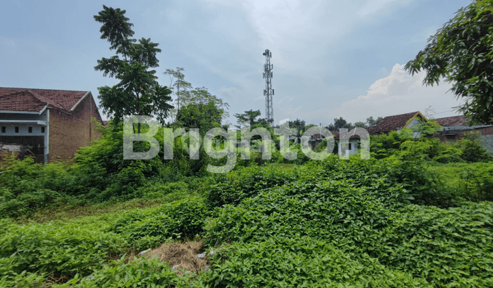 TANAH MOJOKERTO LOKASI STRATEGIS 1