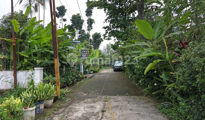 Scenic and Cool Land Area, Cigadung Dago, Bandung