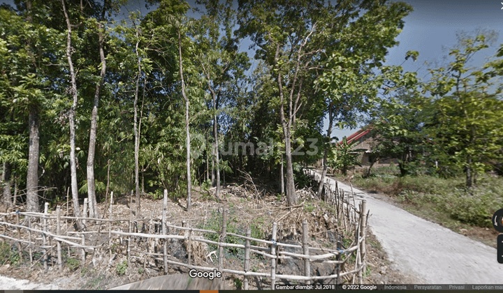 Tanah Luas 4.300 m² Untuk Perumahan Di Pucangan Solo 5