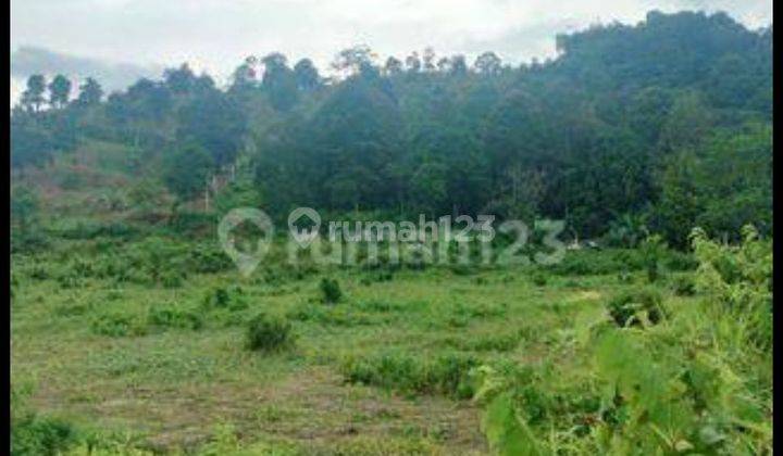 Jual cepat tanah dikawasan Rumpin bogor  2