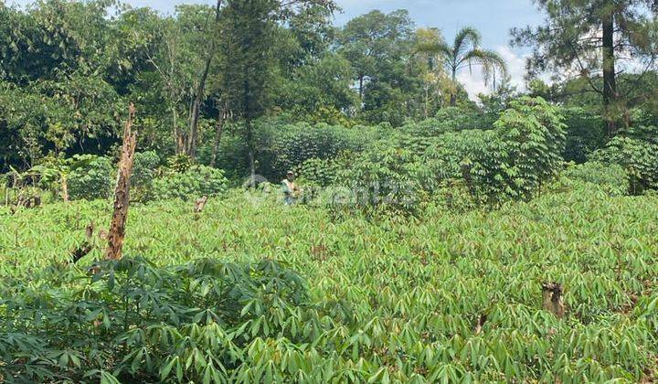 Dijual Murah Sekali Tanah Kp Sawah Rumpin Bogor 2