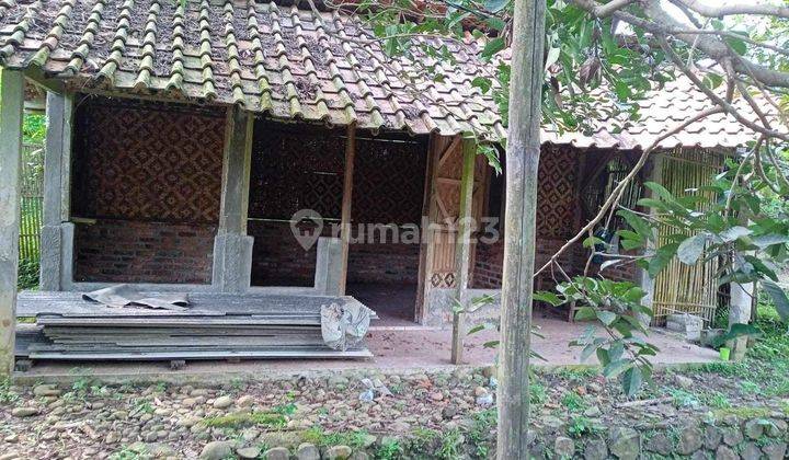 Dijual Murah Meriah Tanah di Jasinga Bogor Jawa Barat  2