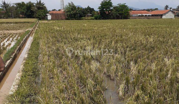 Tanah Luas Cocok Untuk Perumahan Di Gedebage 3