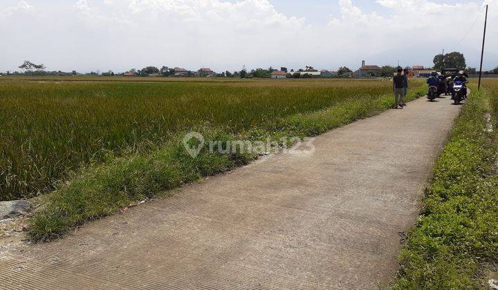 Tanah Luas Cocok Untuk Perumahan Di Gedebage 5