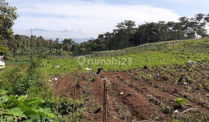 Tanah Murah Siap Bangun Di Arjasari  3