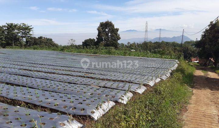 Tanah Murah Siap Bangun Di Arjasari  5