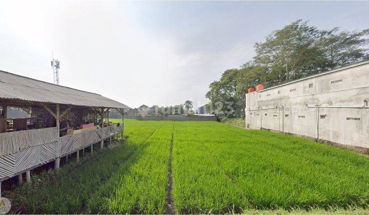 Tanah Sawah Di Soreang Cocok Untuk Usaha 2