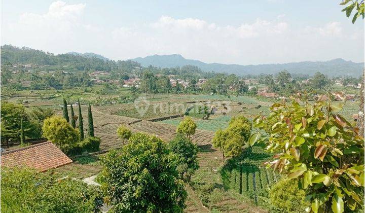 Vila Luas View Bagus Di Ciwidey Bandung  2