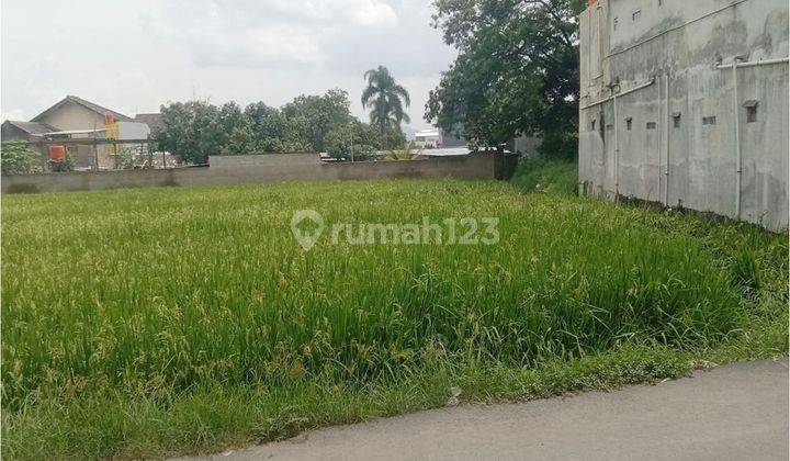 Tanah Sawah Di Soreang Cocok Untuk Usaha 1