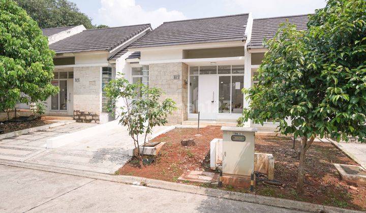 Rumah Bebas Banjir Dekat Babakan Di Serpong Natura City Harga All In Kpr Bisa Nego 3