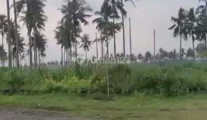 JUAL TANAH PANGANDARAN 7
