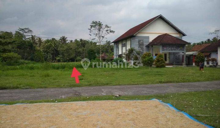 JUAL TANAH BOROBUDUR 3
