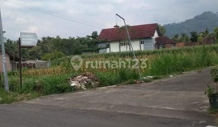 JUAL TANAH BOROBUDUR 7
