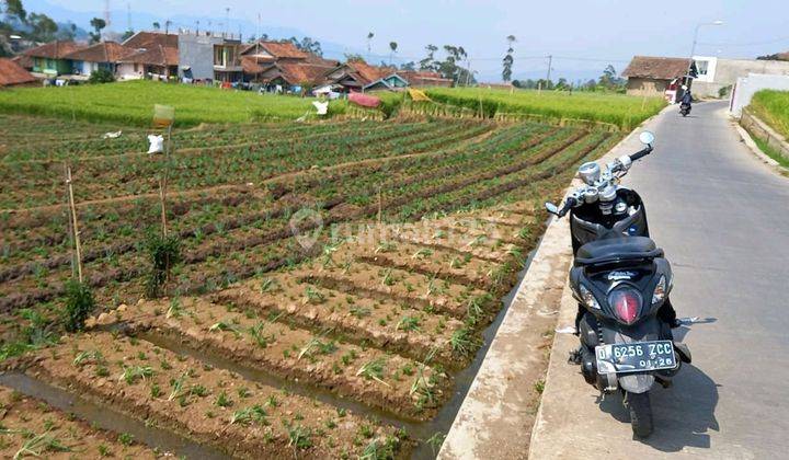 Jual Cepat Tanah Pertanian Aktif Di Pasir Jambu Ciwidey Shm 1