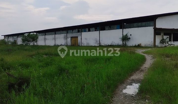 Dijual Gudang Dan Tanah Rancaekek Cicalengka 