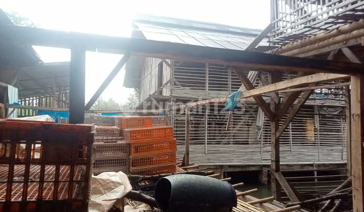 Dijual / Take Over Peternakan Ayam Aktif, Tambak Lele, Toko Dan Rumah Luas Bangunan Baru Di Ciparay 2