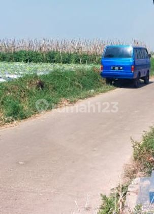 Dijual Tanah Perkebunan Sayuran Di Sariwangi Parongpong, Cisarua Kab. Bandung Barat Dijual Tanah Perkebunan Sayuran Di Sariwangi Parongpong, Cisarua Kab. Bandung Barat