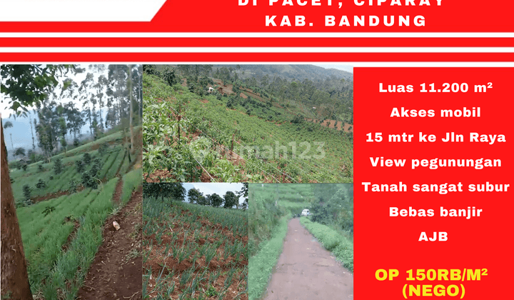 Dijual Perkebunan Sayuran Aktif Di Pacet Kab. Bandung 1