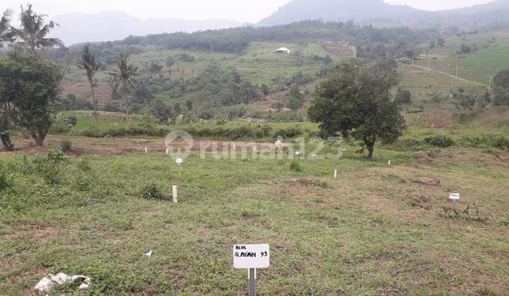 Kavling SHM Per 100 M2 Rp. 50 Jt Lokasi Selawangi, Cariu, Bogor  6