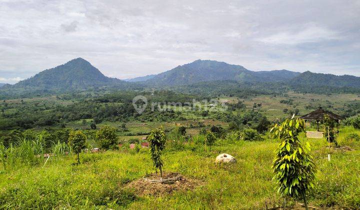 Kavling SHM Agrowisata Alam 7